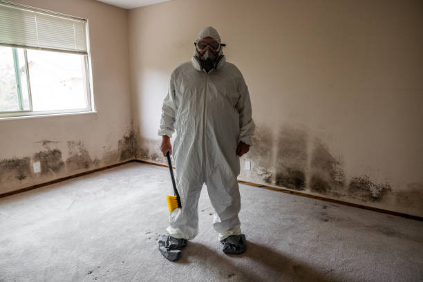 Best Emergency Mold Remediation  in Rose Hills, CA